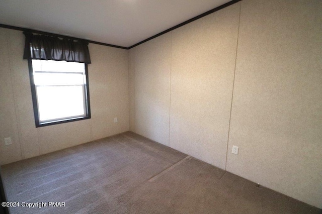 empty room with ornamental molding and carpet flooring