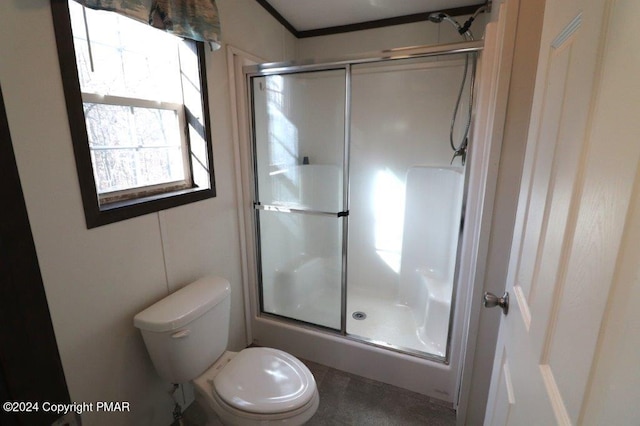 bathroom with a stall shower and toilet