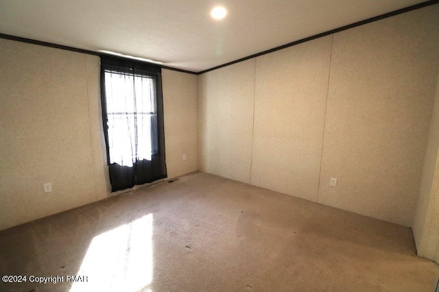 unfurnished room with carpet and ornamental molding