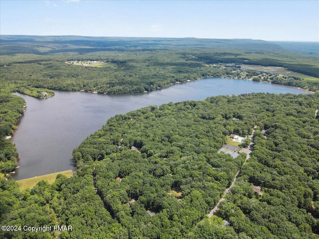 bird's eye view featuring a water view and a view of trees