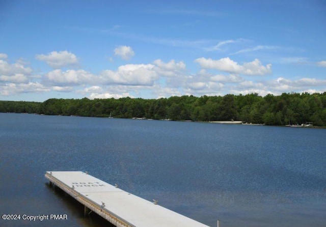 view of dock featuring a water view and a view of trees