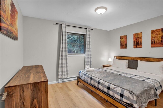 5266 Beechwood Rd, Blakeslee, PA 18610 - bedroom featuring a baseboard radiator and light wood-style flooring