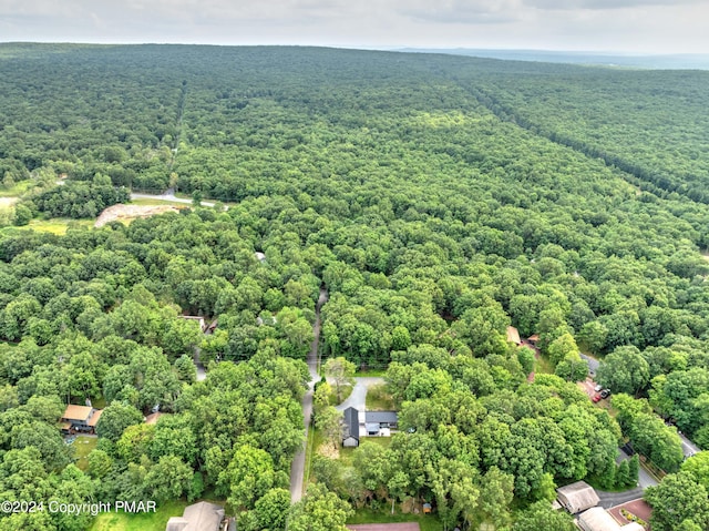 bird's eye view with a view of trees