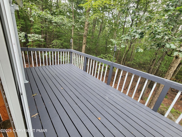195 Hyland Dr, East Stroudsburg, PA 18301 - photo 55