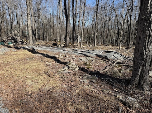 SKYVIEWLAKE Oakwood Dr, Greentown, PA 18426 - view of local wilderness