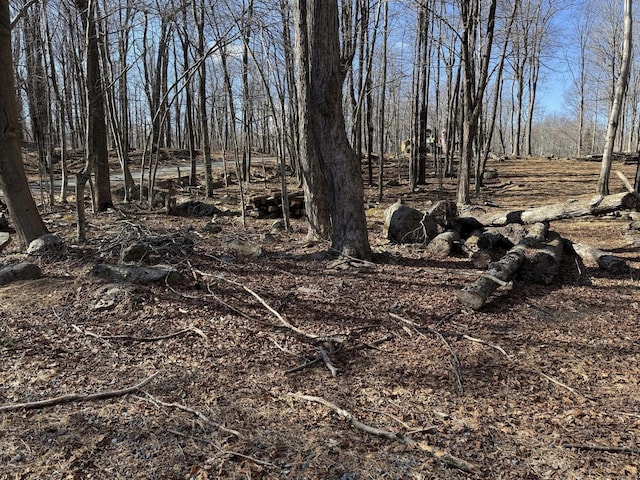 SKYVIEWLAKE Oakwood Dr, Greentown, PA 18426 - view of nature