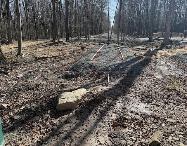 SKYVIEWLAKE Oakwood Dr, Greentown, PA 18426 - exterior space with a forest view