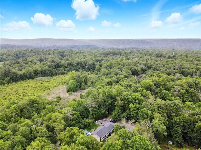2602 Pocono Forested Dr, East Stroudsburg, PA 18302 - aerial view of a heavily wooded area