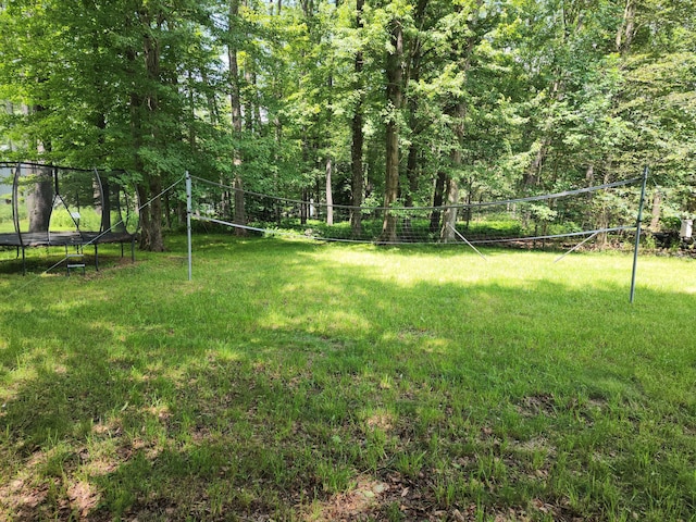 107 Birchwood Rd, Blakeslee, PA 18610 - photo 8