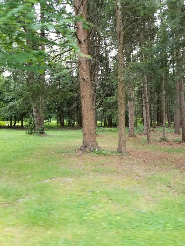 28 Old White Haven Ln, White Haven, PA 18661 - photo 139