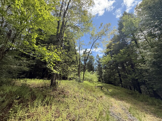 28 Old White Haven Ln, White Haven, PA 18661 - photo 30