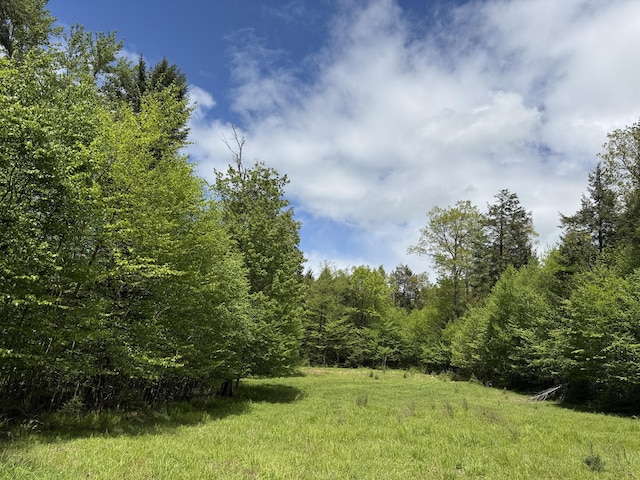 28 Old White Haven Ln, White Haven, PA 18661 - photo 43