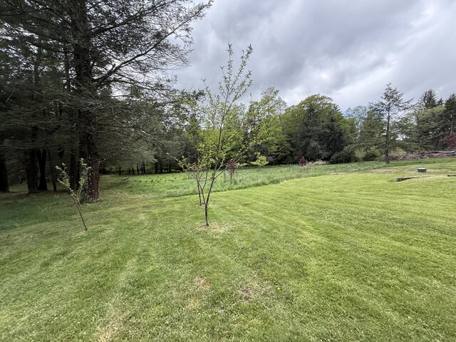 28 Old White Haven Ln, White Haven, PA 18661 - photo 65