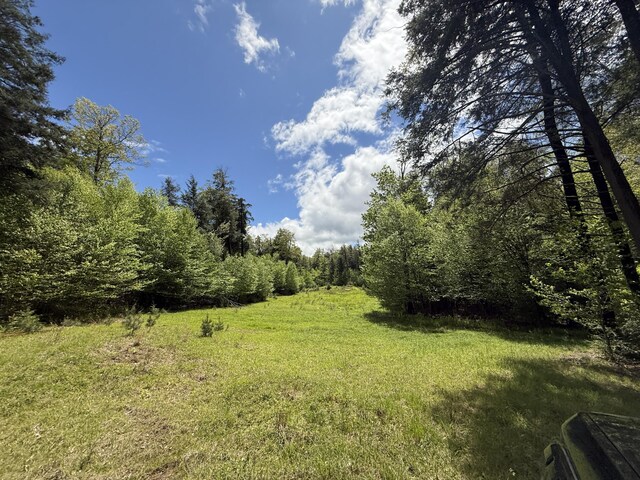 28 Old White Haven Ln, White Haven, PA 18661 - photo 35