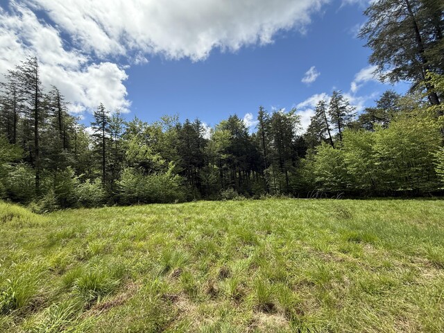 28 Old White Haven Ln, White Haven, PA 18661 - photo 38