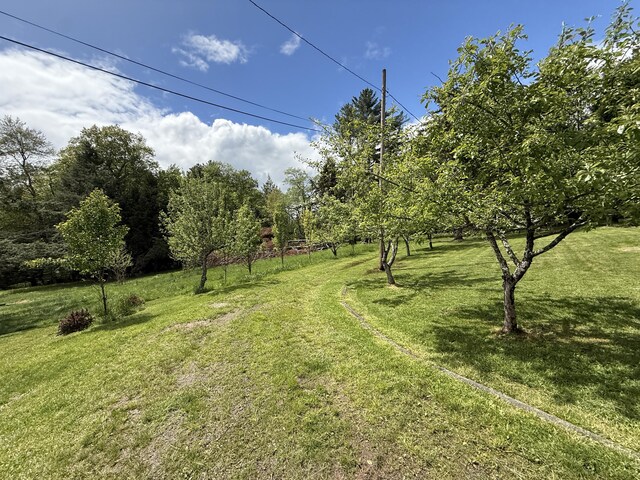 28 Old White Haven Ln, White Haven, PA 18661 - photo 99