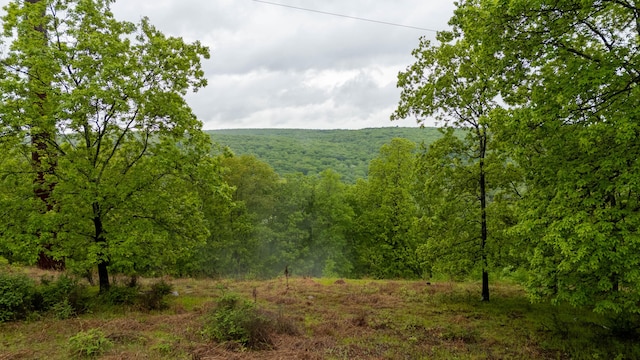 view of mountain backdrop with a heavily wooded area
