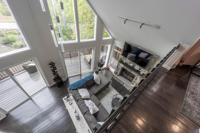 living room with a high ceiling, wood-type flooring, a fireplace, and rail lighting
