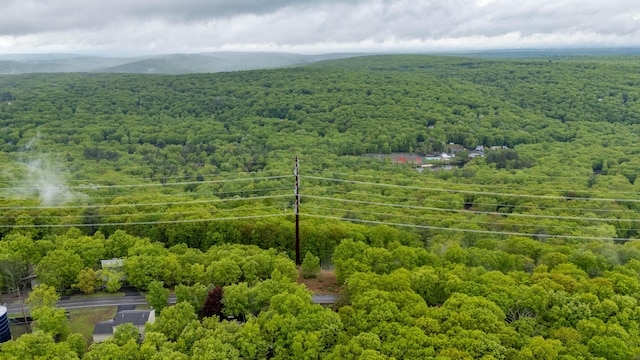 drone / aerial view of a forest and mountains