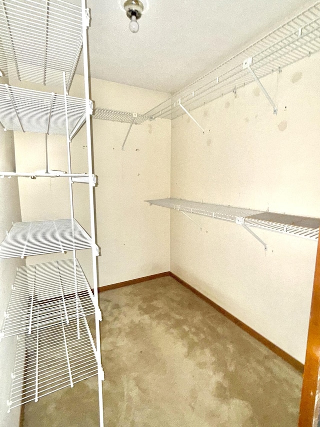 402 Shinymountain Ct, Greentown, PA 18426 - spacious closet with carpet