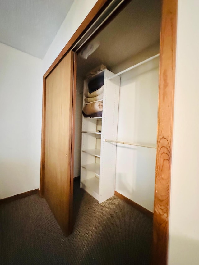 2383 Eagle Path, Bushkill, PA 18324 - view of closet