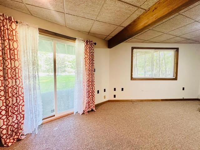 2383 Eagle Path, Bushkill, PA 18324 - spare room featuring carpet, plenty of natural light, and a paneled ceiling