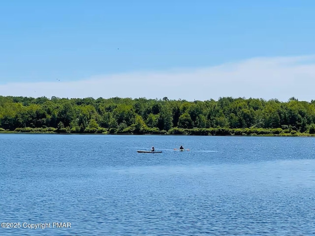 156 Poplar Pl, Blakeslee, PA 18610 - property view of water with a wooded view