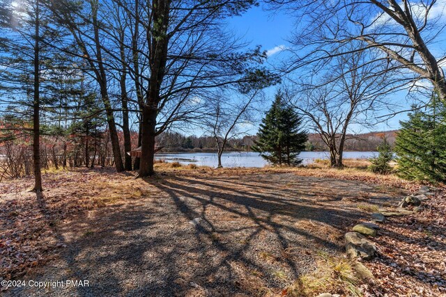 156 Poplar Pl, Blakeslee, PA 18610 - view of yard with a water view and a forest view