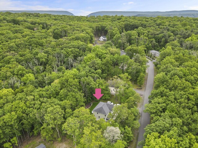 1127 Fillmore St, East Stroudsburg, PA 18301 - drone / aerial view of a heavily wooded area