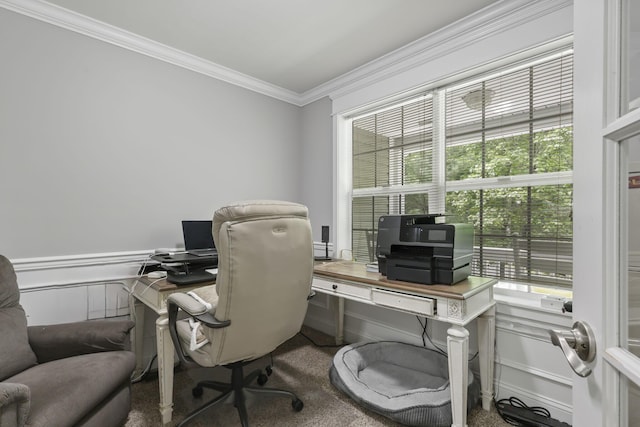 1127 Fillmore St, East Stroudsburg, PA 18301 - carpeted office with ornamental molding, a decorative wall, and a wainscoted wall