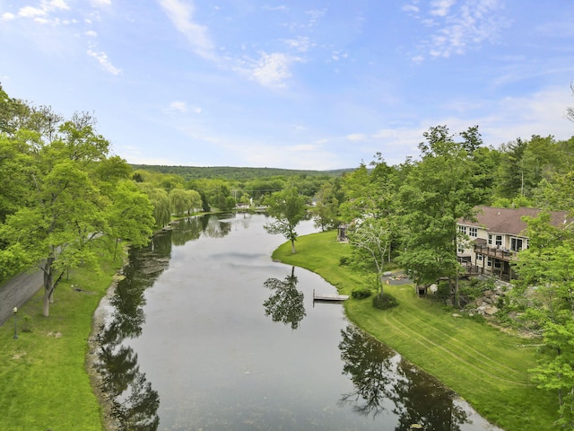 1127 Fillmore St, East Stroudsburg, PA 18301 - view of community with a water view and a wooded view