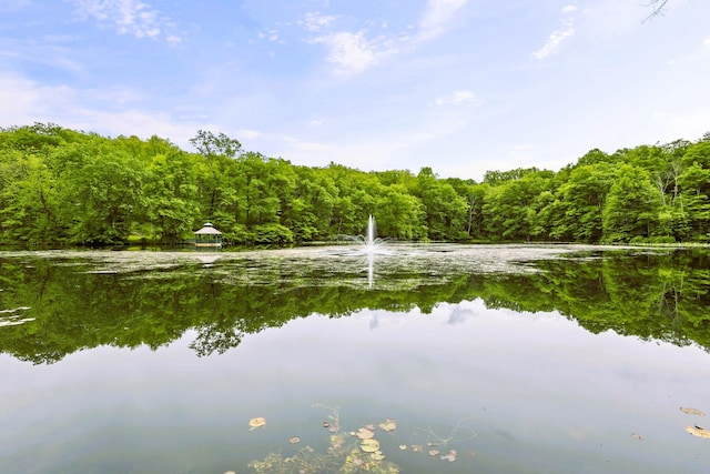 1127 Fillmore St, East Stroudsburg, PA 18301 - water view with a forest