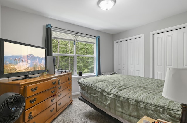 1127 Fillmore St, East Stroudsburg, PA 18301 - bedroom with two closets and light carpet