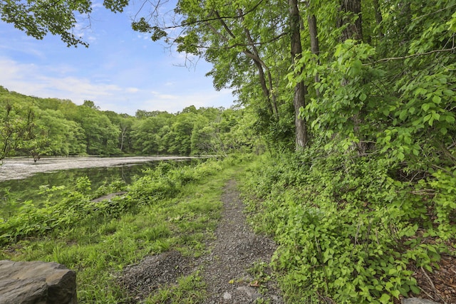 1127 Fillmore St, East Stroudsburg, PA 18301 - view of yard featuring a forest view