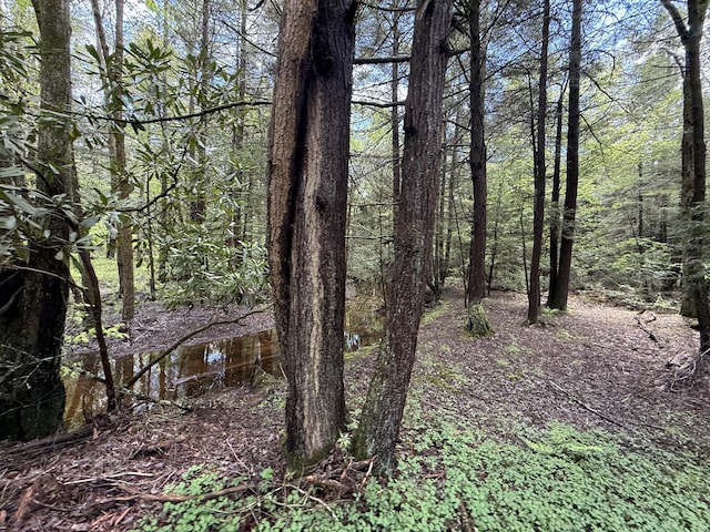 Listing photo - caption unavailable