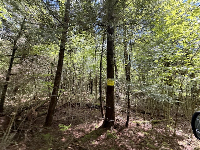 Listing photo - caption unavailable