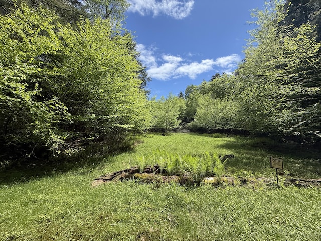 Listing photo - caption unavailable