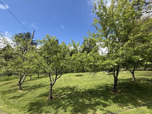 Listing photo - caption unavailable