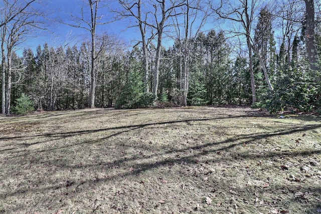 3360 Rte 940, Mount Pocono, PA 18344 - view of local wilderness with a forest view