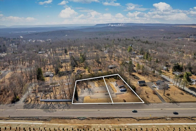 3360 Rte 940, Mount Pocono, PA 18344 - birds eye view of property featuring a mountain view
