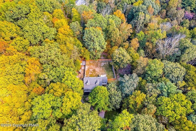 172 Steep Hill Rd, Cresco, PA 18326 - aerial view of a forest
