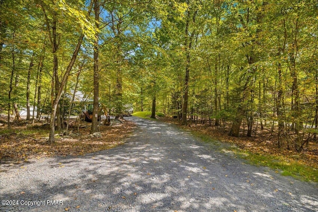 172 Steep Hill Rd, Cresco, PA 18326 - view of street with a wooded view