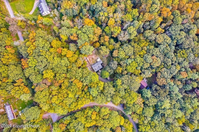 172 Steep Hill Rd, Cresco, PA 18326 - aerial overview of property's location
