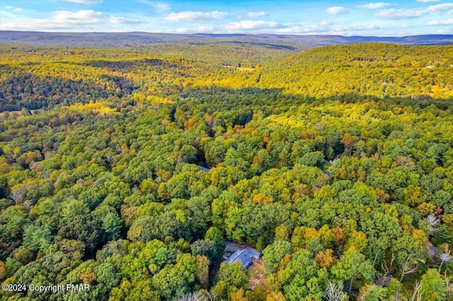 172 Steep Hill Rd, Cresco, PA 18326 - drone / aerial view of a forest