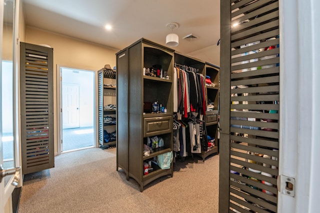 1555 Longleaf Dr, Effort, PA 18330 - walk in closet featuring light carpet and beverage cooler