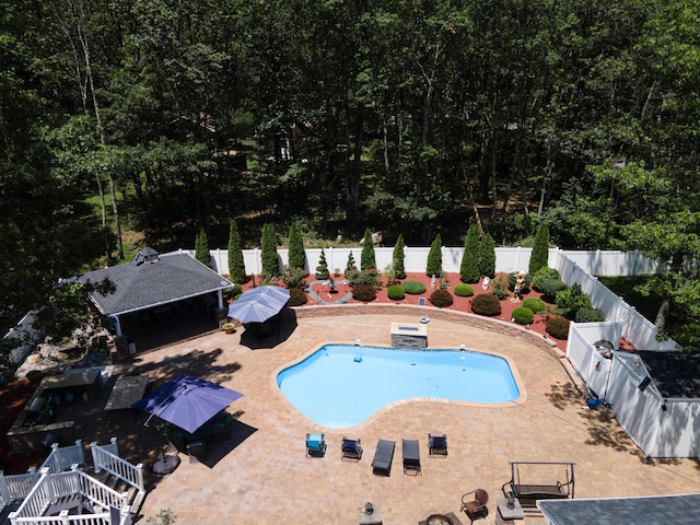 1555 Longleaf Dr, Effort, PA 18330 - view of swimming pool with a patio