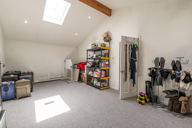 1555 Longleaf Dr, Effort, PA 18330 - storage area featuring a skylight and a baseboard radiator