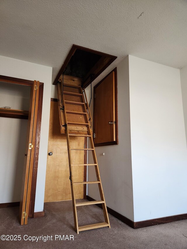 staircase featuring a textured ceiling and carpet floors