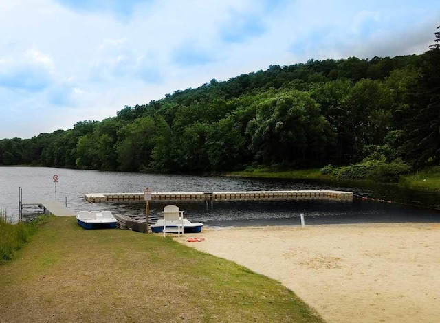 3109 Snowden Dr, Bushkill, PA 18324 - dock area with a forest view and a water view