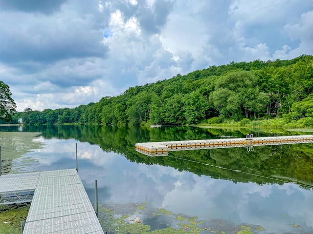 3109 Snowden Dr, Bushkill, PA 18324 - dock featuring a wooded view and a water view